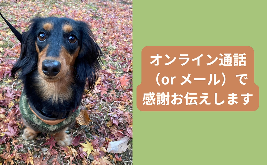 Zoom等オンライン通話での御礼（通話に抵抗がある方はメールで御礼させて頂きます）