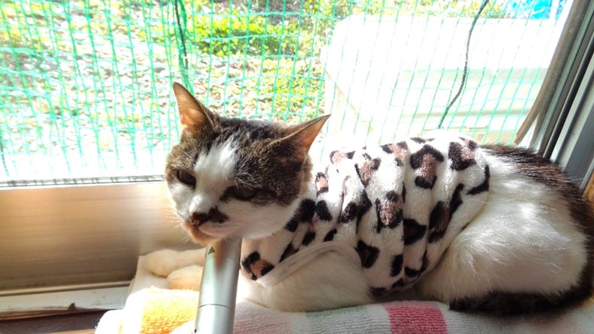 資金の使い道のこと