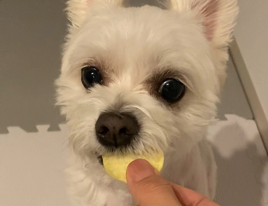 本日、無事に退院いたしました