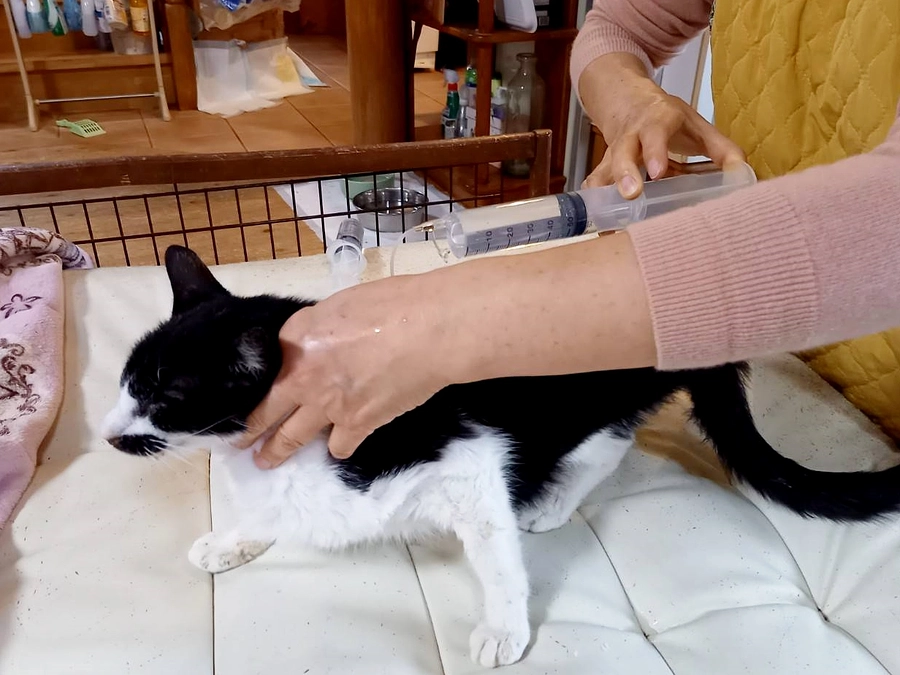 クラウドファンディング初日、ご支援に感謝