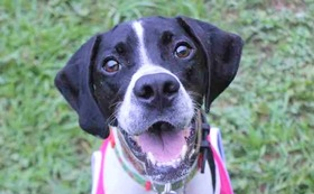 【お気持ちコース】