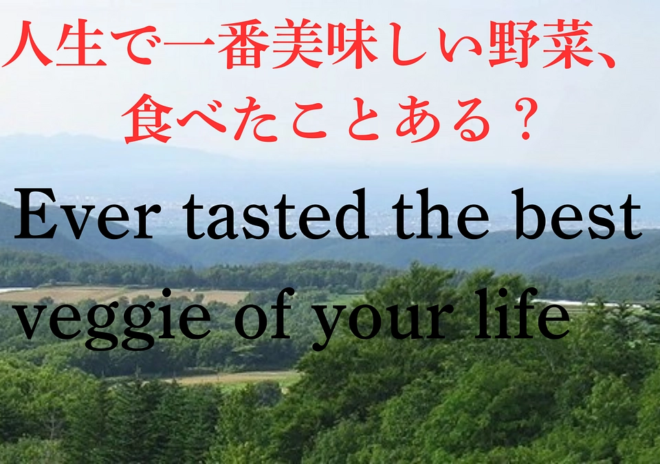沖揚平にオートキャンプ村開設