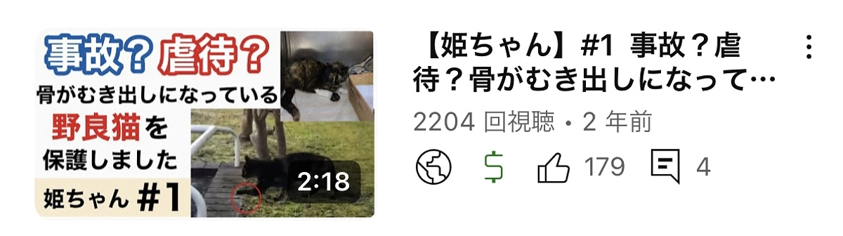 骨が剥き出しになったサビ猫を保護