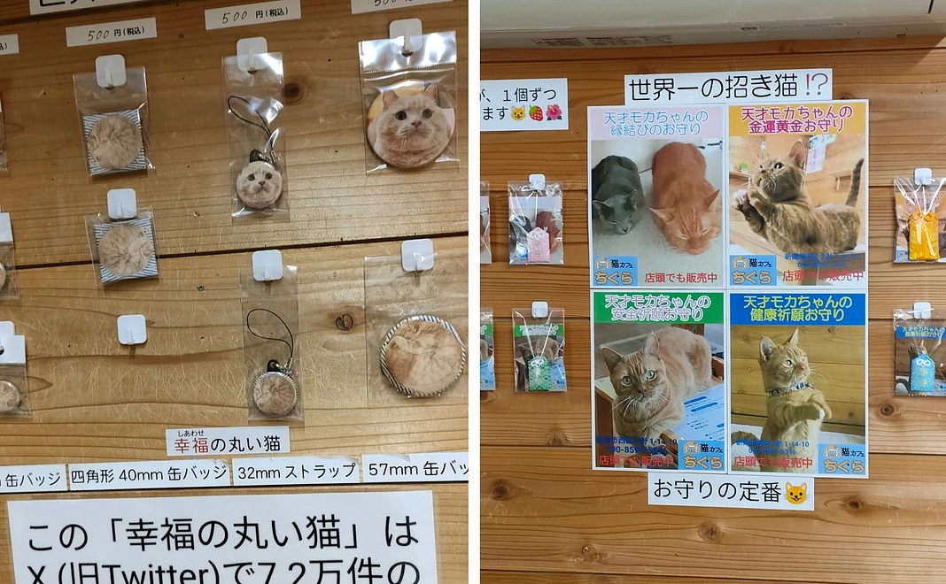 幸福の丸い猫缶バッジ 1個+天才モカちゃんのお守り 1個