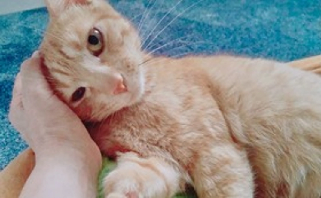 リターンコース 3,000