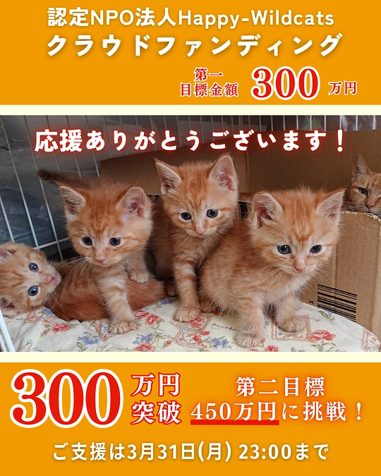 第一目標達成の御礼とネクストゴール450万円について