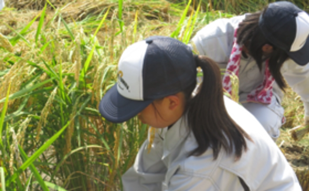 メールで感謝の気持ちと活動報告をお届けいたします