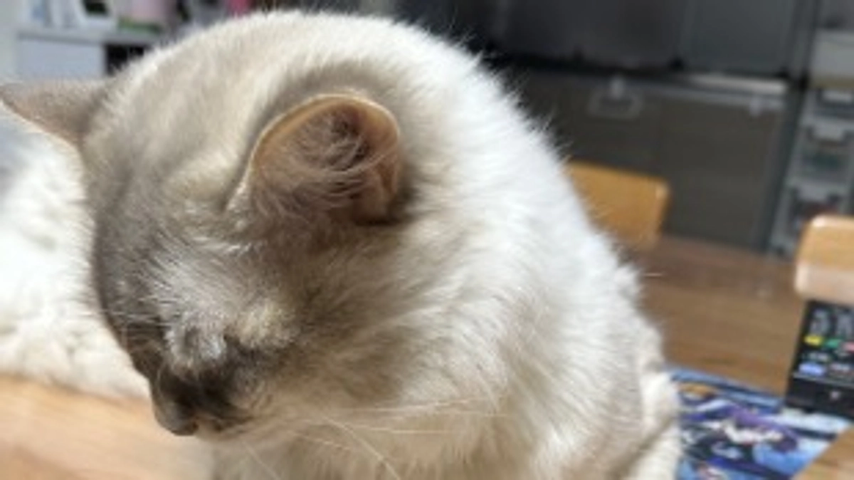 病院に行ってきました😸