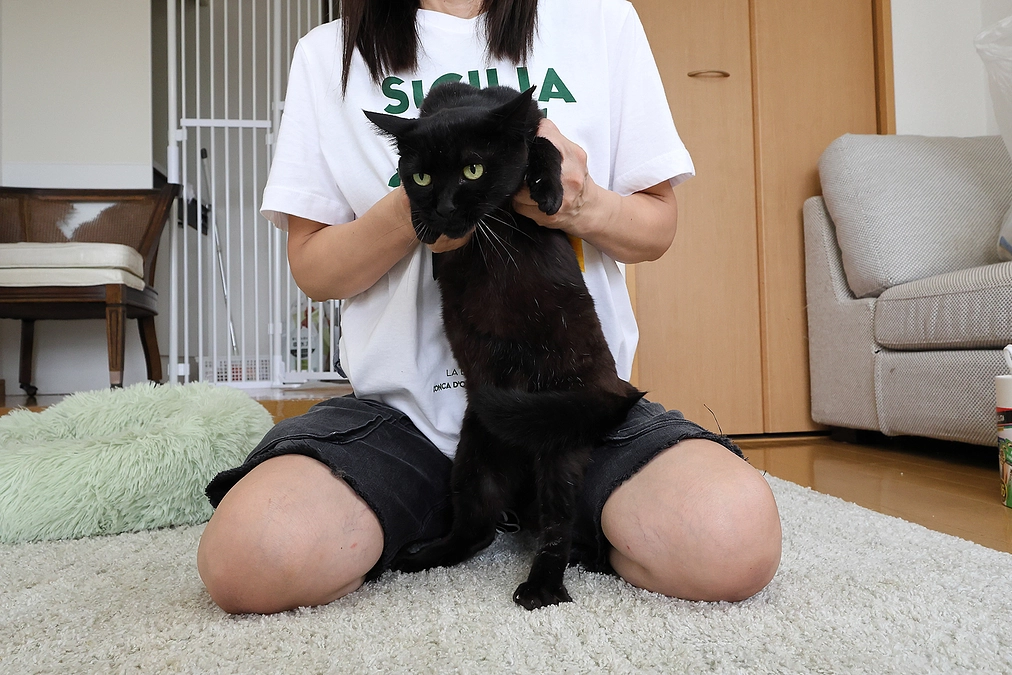 がんばって生きようとしています