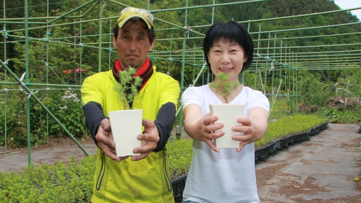 1つぶの種から緑の山へ、山林種苗農家を継続したい。