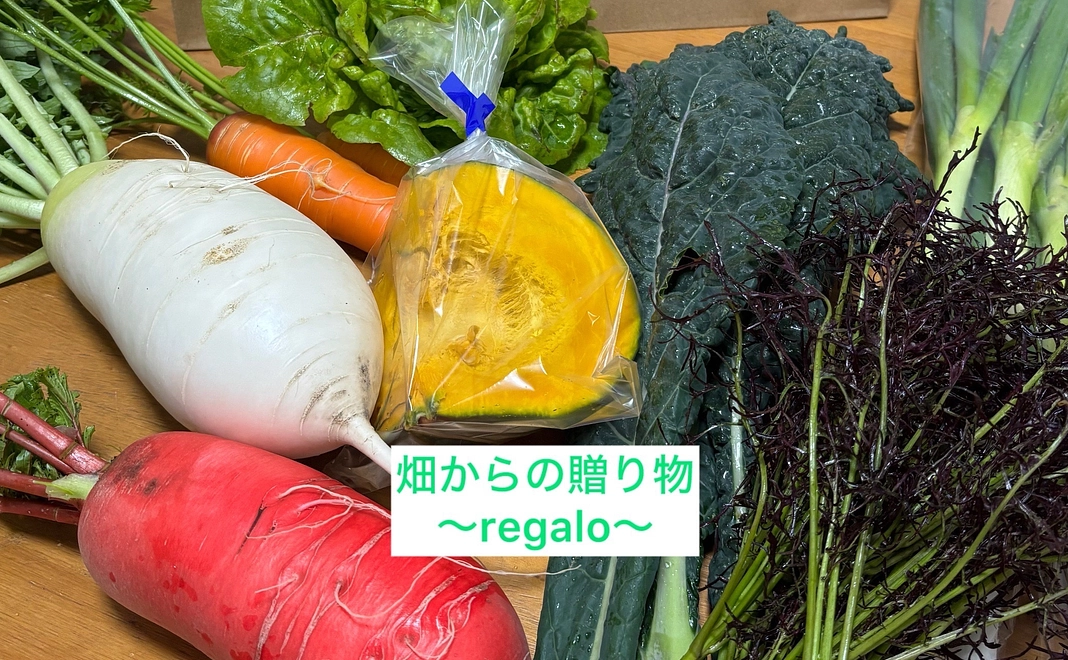 REGALO〜畑からの贈り物〜＋やまと屋生活視聴権1ヶ月分＋感謝のメール