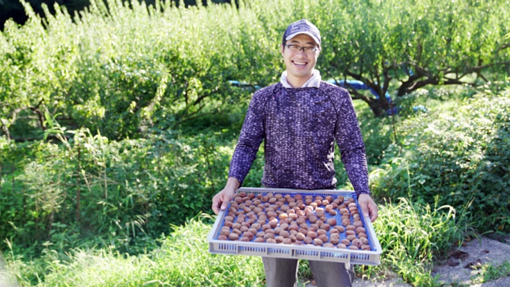 担い手不足の福井梅。食べて、繋がって、支える仕組を作りたい！