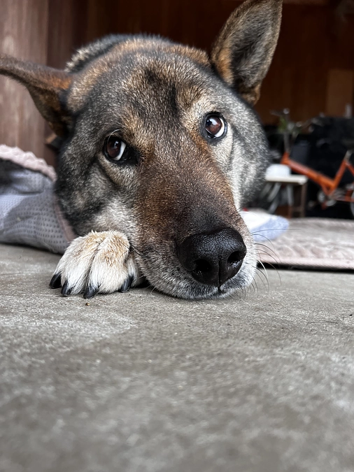 🆘🆘あと46万円足りません🆘🆘