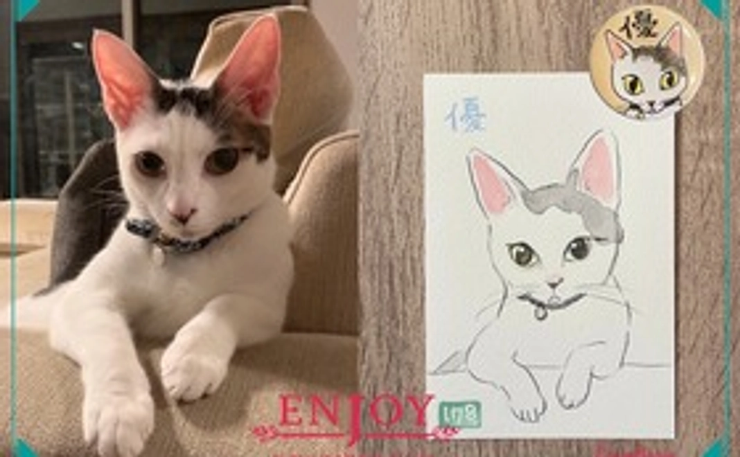 愛猫・愛犬さんの似顔絵を可愛いイラストにしたポストカード＋缶バッジセット☆　リターン付き　応援コース