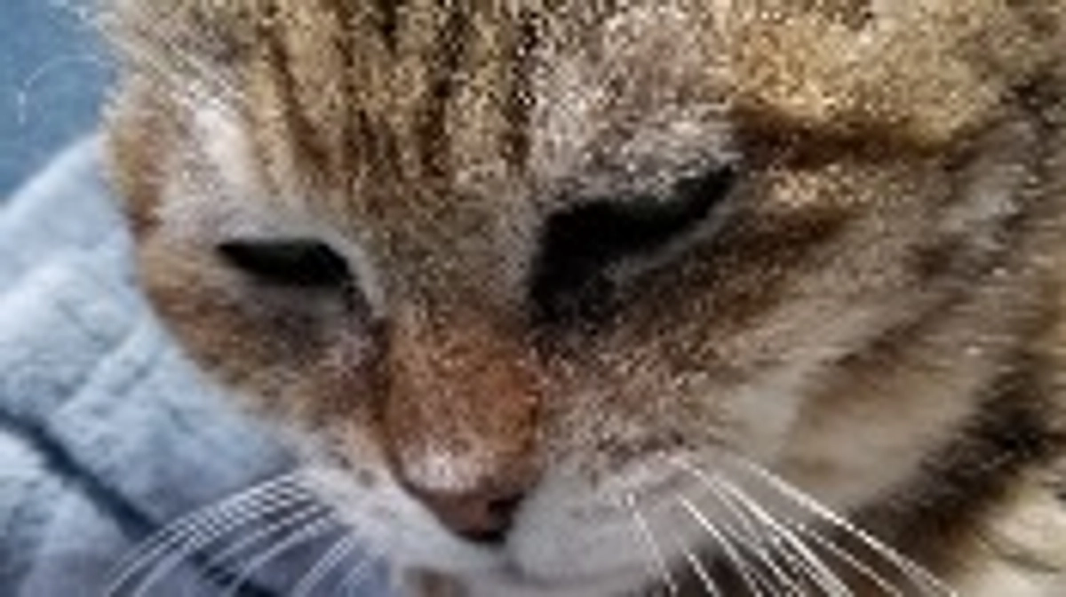 40%達成できました。