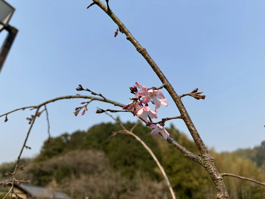 中々活動報告が出来なくて申し訳ございません…