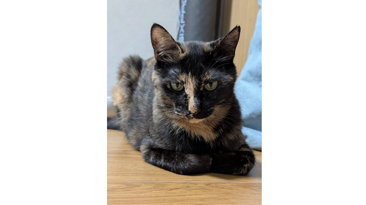 【あと6日】33日目の朝