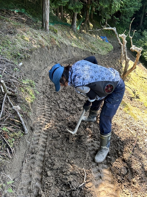 締め切りまで残り20日