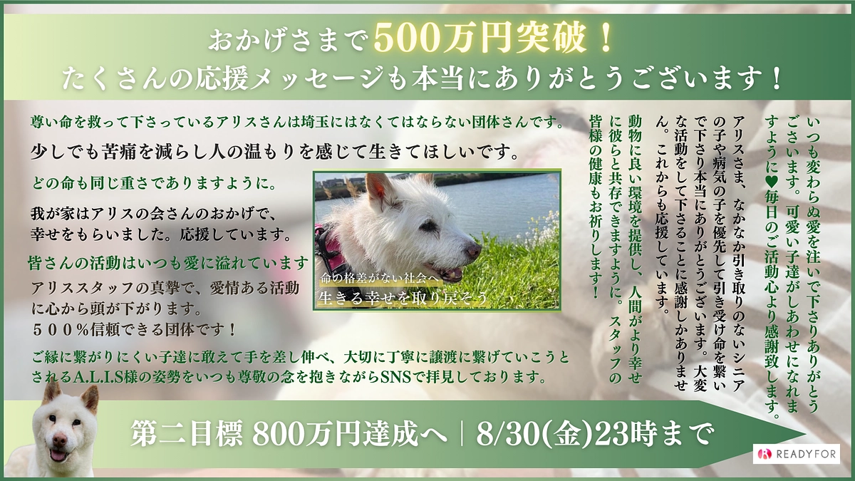 【生き抜いてほしいから…】レスキューの流れと医療費が必要な理由について