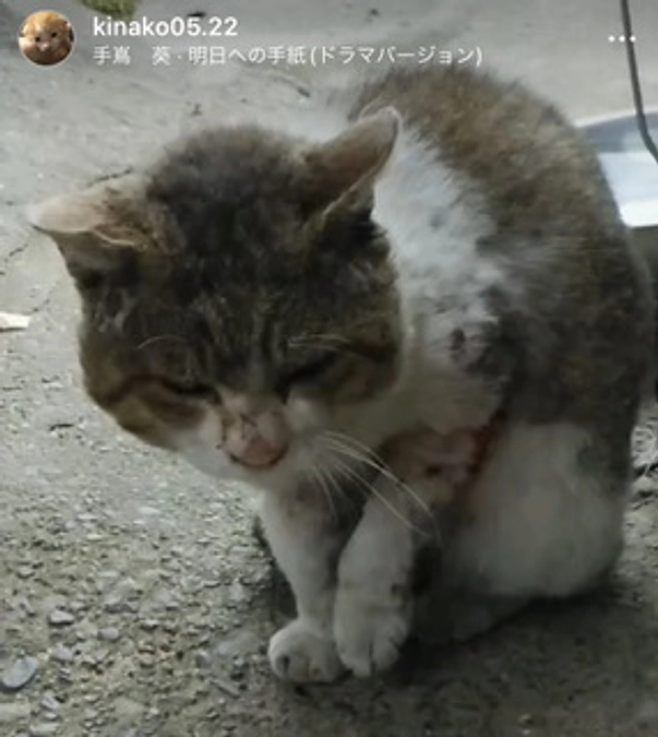 たくさんの方に見ていただけますように