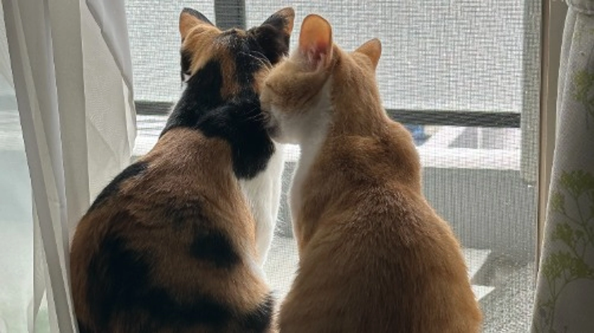 投薬79日目（プロジェクト開始39日目）※残り7日です