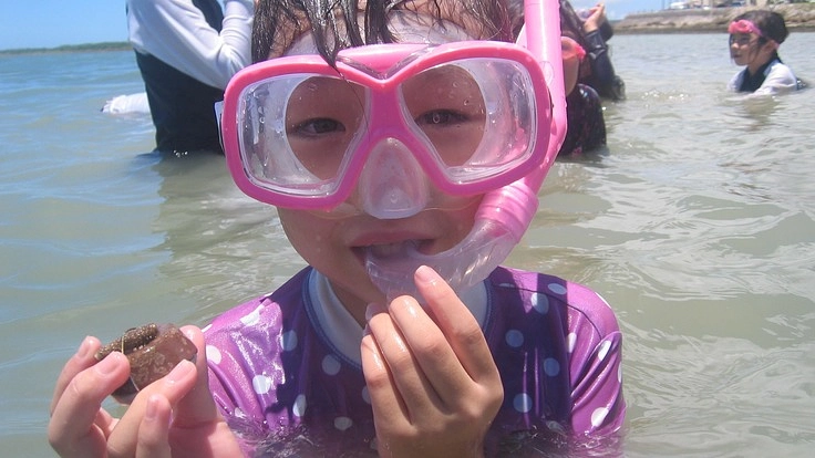 もう一度サンゴが生育できるきれいな海を取り戻して子ども達へ残したい