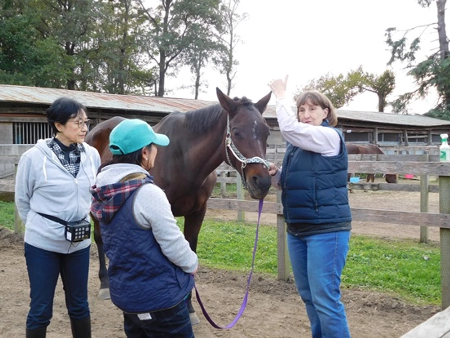 【応援メッセージが届きました！①】テリントンタッチの皆様