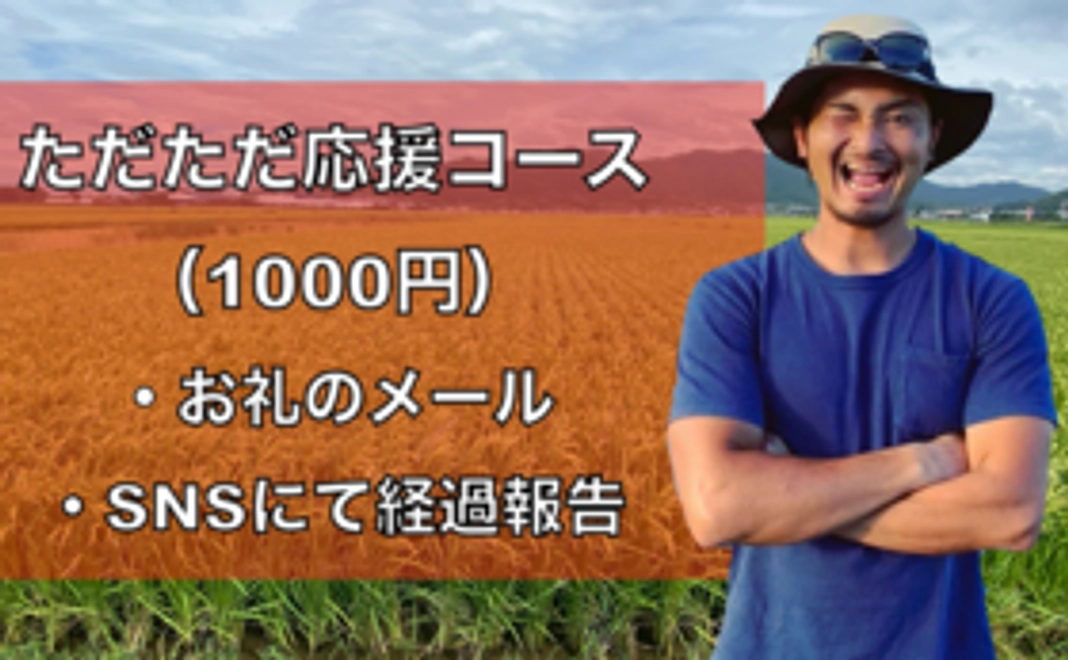 ただただ応援コース