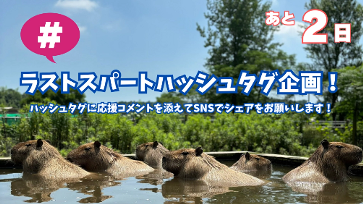 あと2日！ラストスパートハッシュタグ企画を開催！皆さまの想いと共にどうかご協力をお願いします