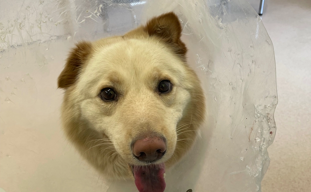 お気持ち3000円コース