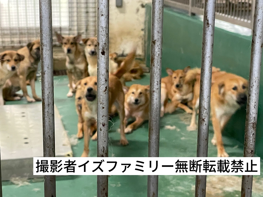 ネクストゴール挑戦への申請完了