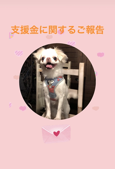 支援金に関するご報告🙇‍♀️✨