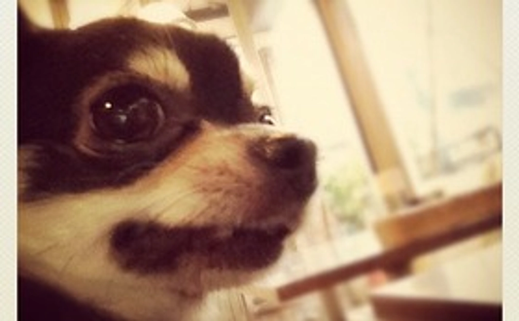 みかんに元気を！②