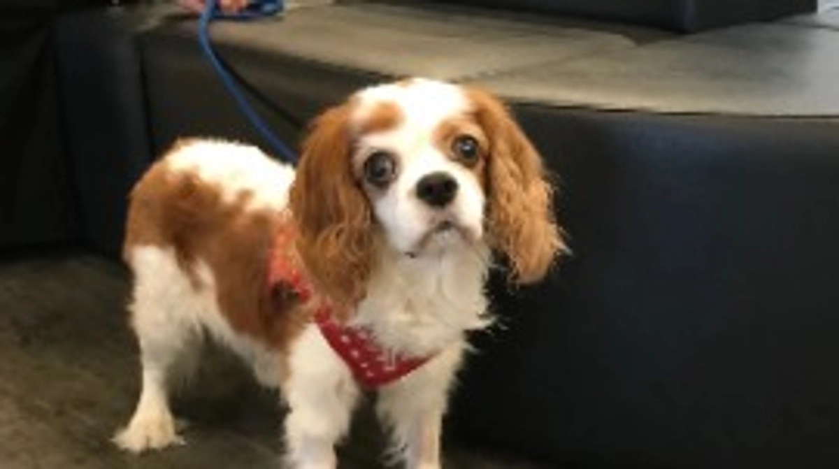 定期検診に行って参りました