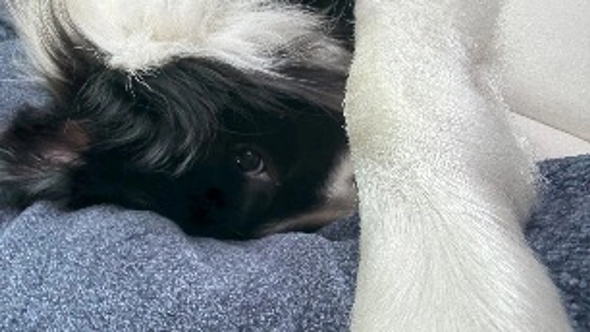 終了まで残り4日