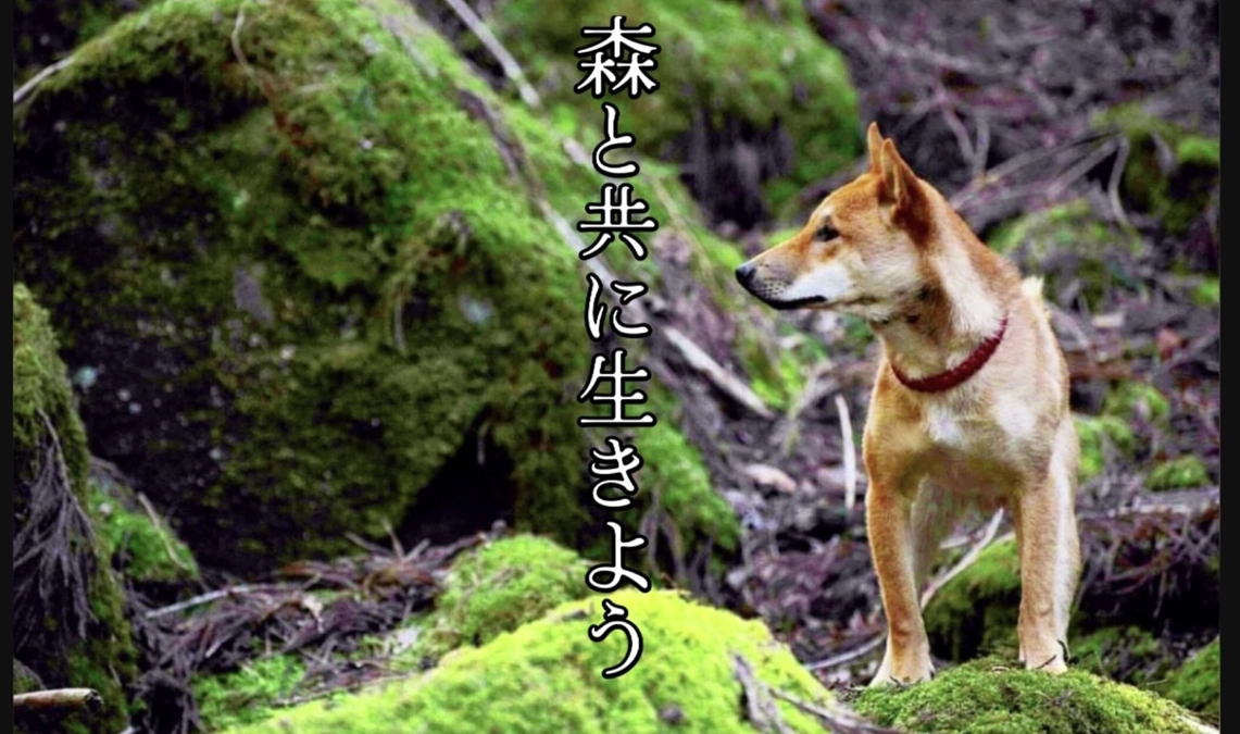 成立できました。ご支援ありがとうございました。