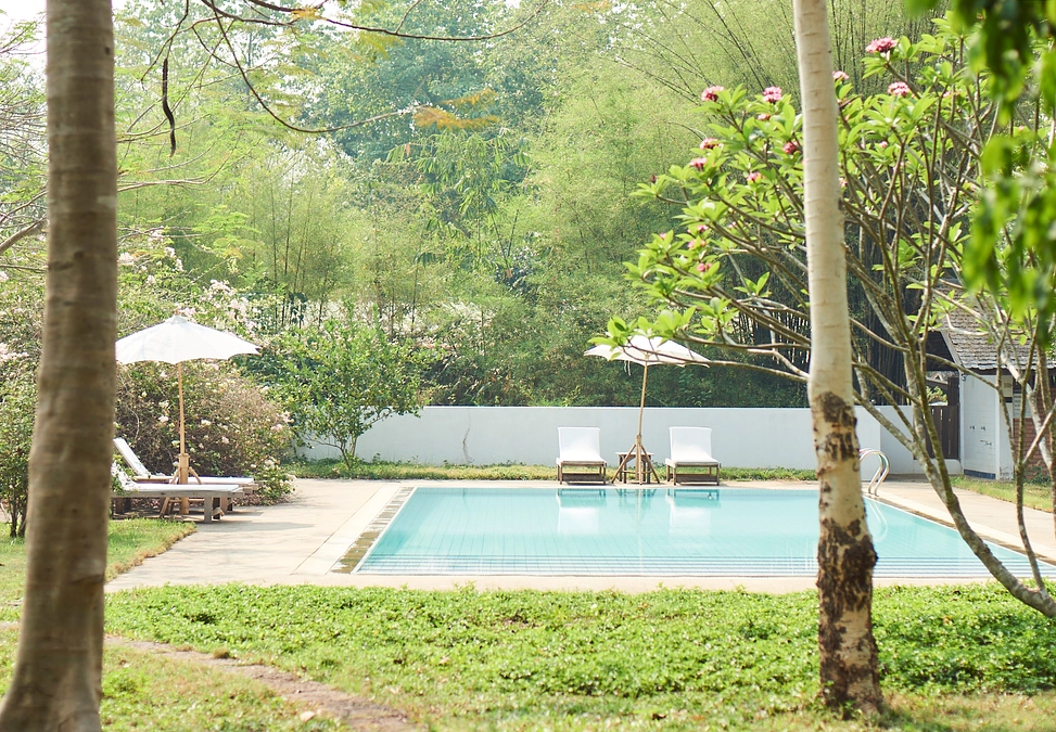 映画「プール」　The movie "Pool" ...