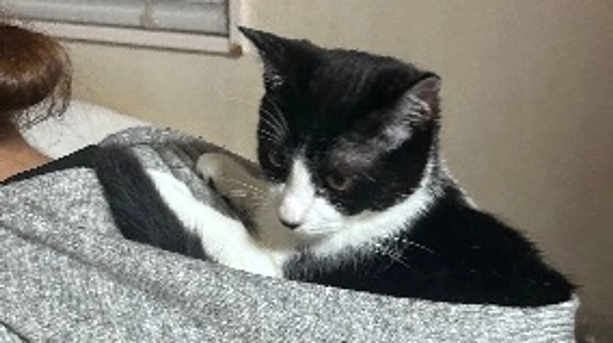 ネクストゴール挑戦します！