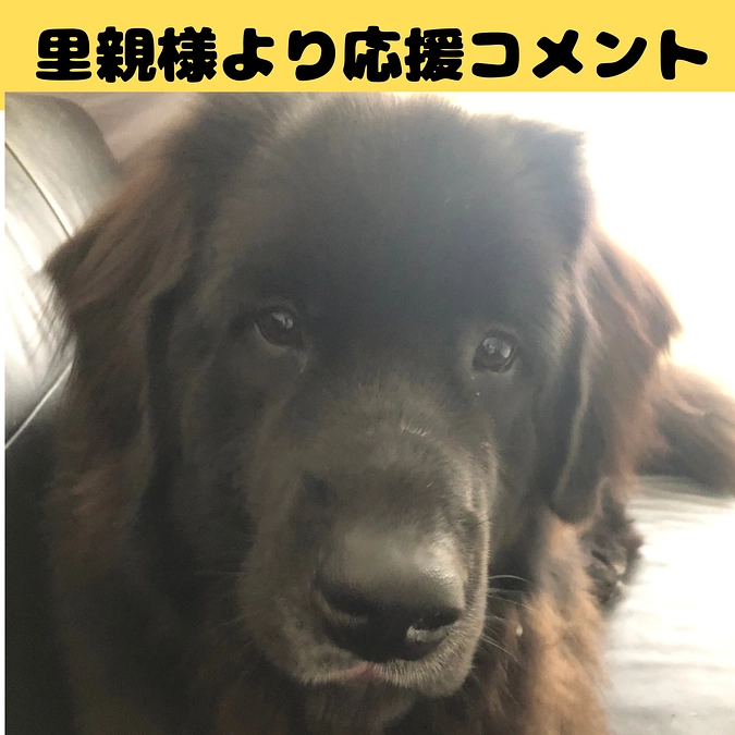 おっぽの会応援リレー！！#26