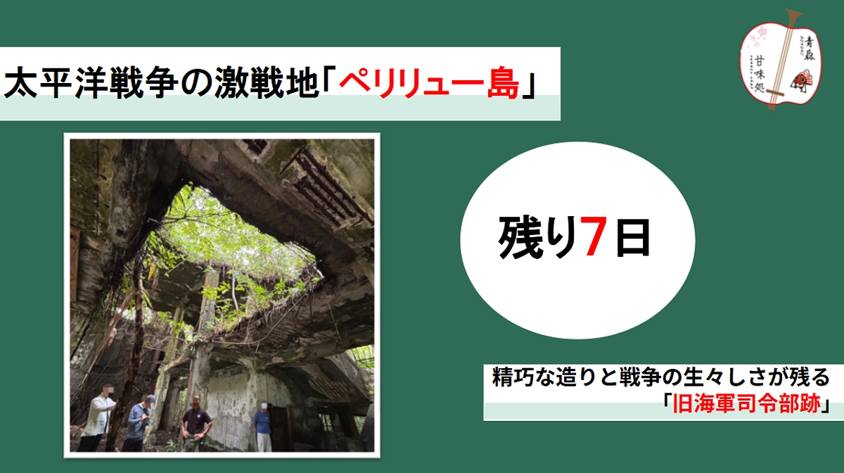 太平洋戦争の激戦地「ペリリュー島」　～旧日本海軍司令部跡を見学して～