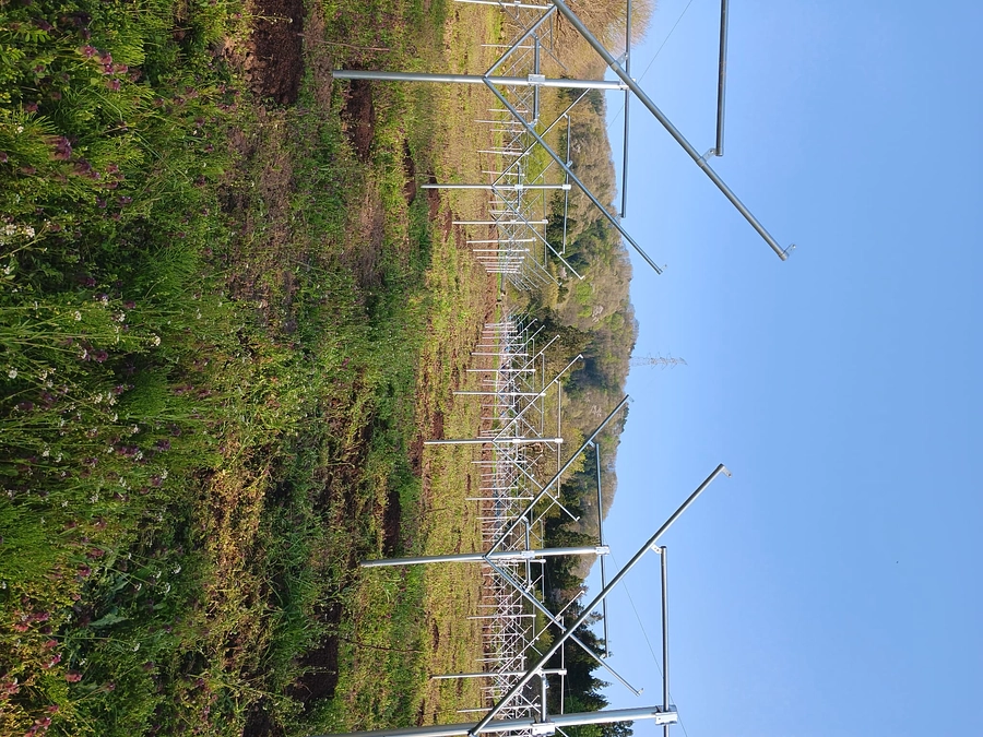 苗木植え付け完了！