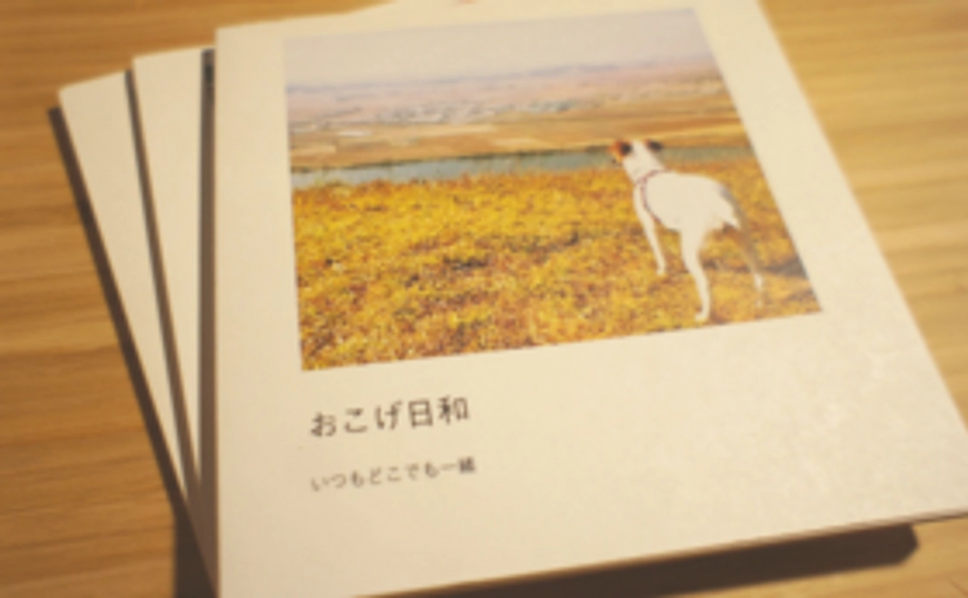 【イベント参加者向け】新入学フェスタ記念アルバム