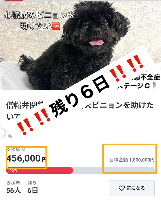 クラファン終了まで残り６日‼️‼️‼️🆘🆘🆘