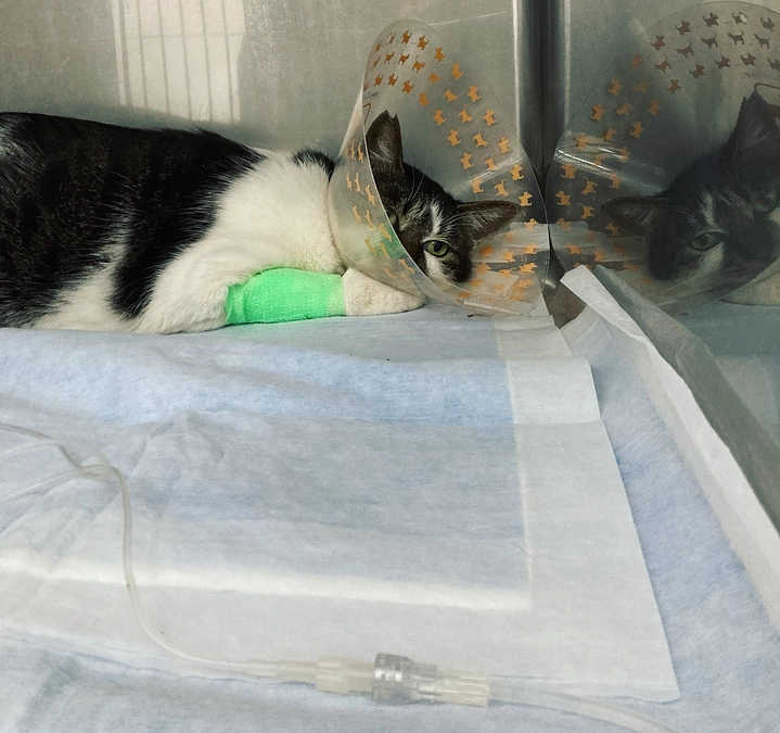 あと14日になりました！！