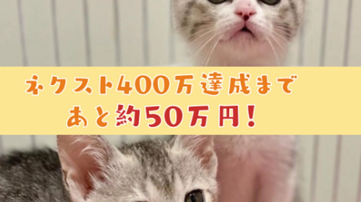 第6弾プロジェクト【残り7時間！ 】ここまでどうもありがとうございます！！