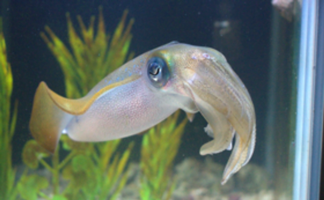 【特別なリターンは不要な方へ】3,000円応援