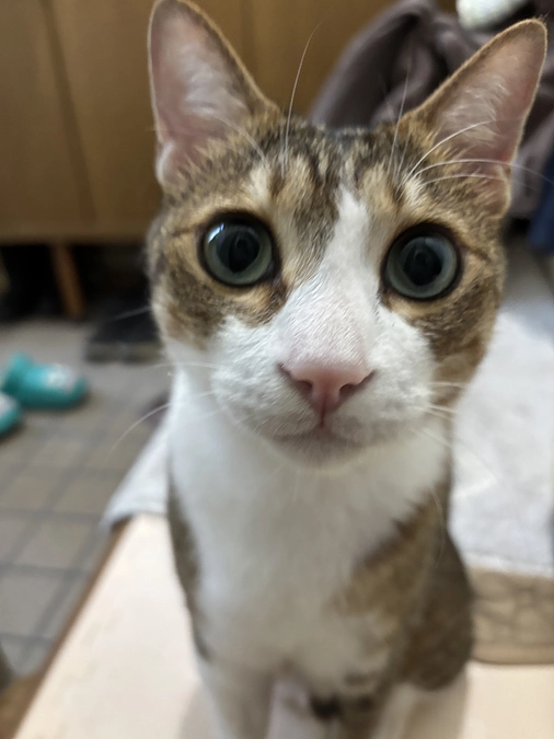 かなり元気に！！