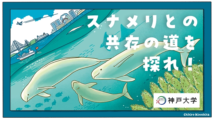スナメリの未来を救え！大阪湾で生きるスナメリが人と共存するために