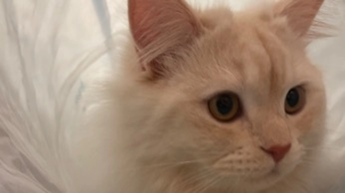 ご支援を頂きました！