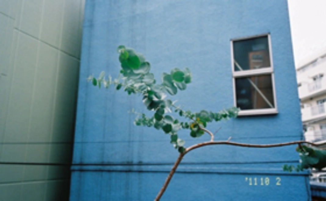 お礼のポストカード